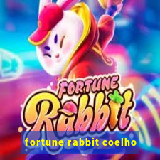 fortune rabbit coelho