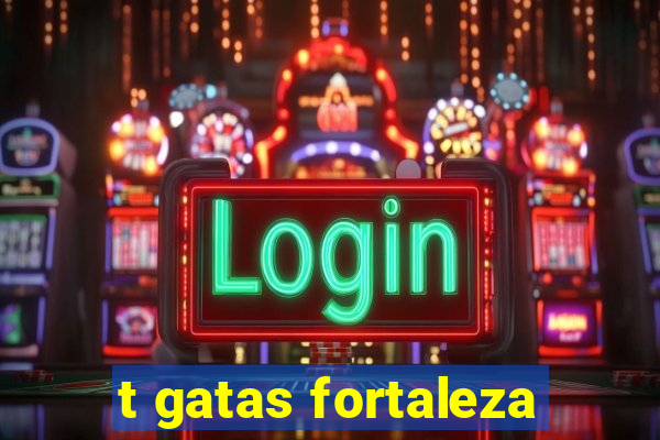 t gatas fortaleza