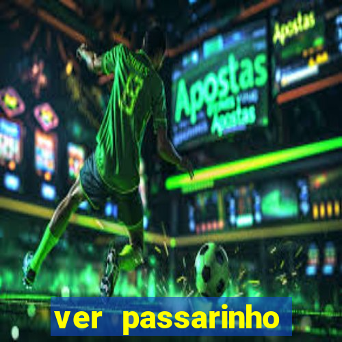 ver passarinho morto significado espiritual