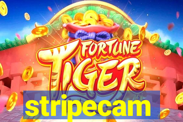 stripecam